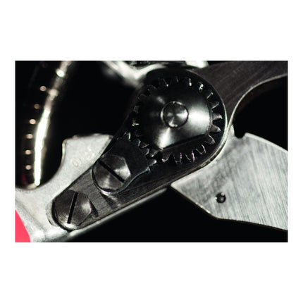 FELCO Sécateur FELCO 2 longueur totale 215 mm ( 4000815628 )