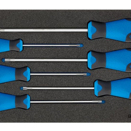 Módulo de herramientas GEDORE 1500 CT1-2163 TX Módulo de 6 piezas 1/3 ( 4000881217 )