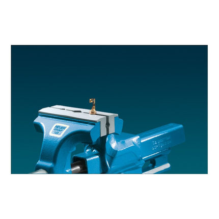 BROCKHAUS Mâchoire d'étau de protection  pour largeur de mâchoire 120 mm ( 4157120620 )