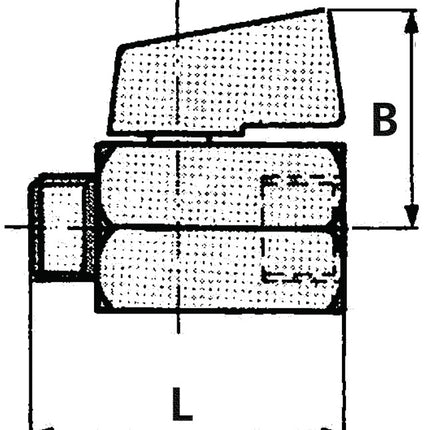 RIEGLER Mini-robinet à bille VALVE LINE 10 mm 3/8 ( 4163000189 )