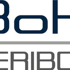 Veribor rubber disc ( 4000817231 ) head Ø 120 mm Veribor(R)