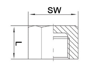 Tappo a molla EN 10226-1 ( 4000000280 ) NPS=1 ″ L 22 mm