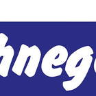 Cierre de seguridad de cinta plana Schnegel ( 3000259569 ) Longitud 280 mm Anchura 20 mm Espesor 3 mm 006/770/V