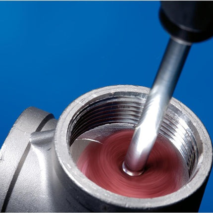 PFERD Schleifstern POLINOX ( 8000434402 ) Ø 19 mm Körnung 100