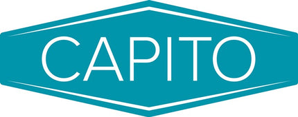 Capito pneumatic wheel ( 4000818169 ) Wheel Ø 400 mm Wheel width 100 mm