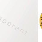 Wieloletnia naklejka inspekcyjna ( 9000477099 ) folia W25xL60 mm