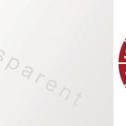 Einjahreskabelprüfplakette ( 9000477102 ) B25xL60 mm Folie