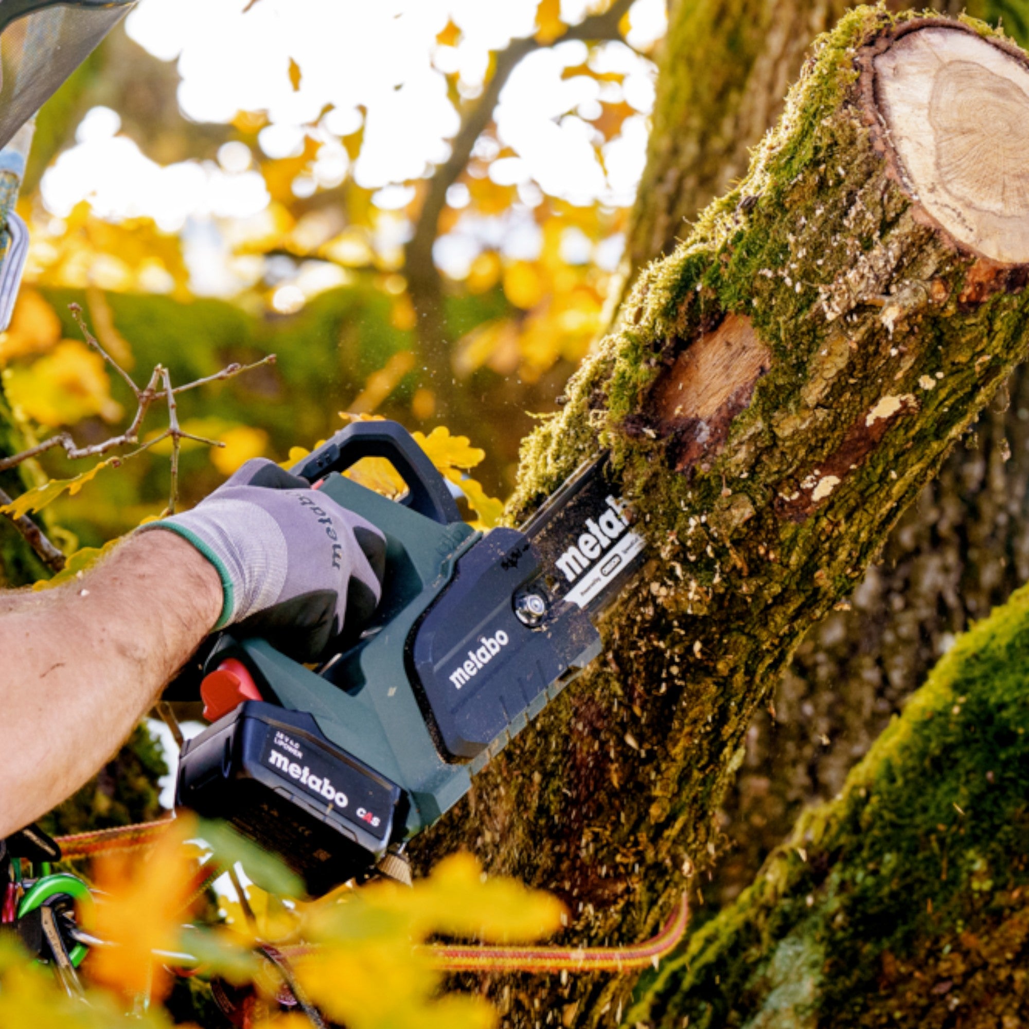 Metabo MS 18 LTX BL 25 Akku Kettensaege 18 V 25 cm Brushless Solo 601595850 ohne Akku ohne Ladegeraet 3 - toolbrothers