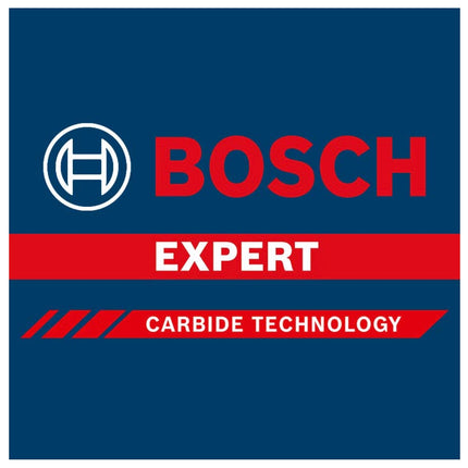 Bosch Expert Punte per foratura SDS plus 7X 10,0 x 165 mm 50 pz. ( 2608900193 )