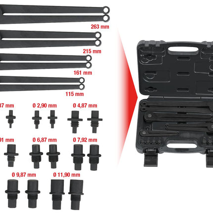 KS TOOLS Serie di chiavi per ghiere con spine intercambiabili, 20 pz ( 150.3205 )