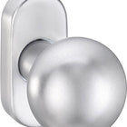 Pomello per porta con profilo EDI 2033/5010 Materiale acciaio inox EST ( 3000261217 )