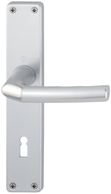 HOPPE set di piastre lunghe Birmingham 1117/202SP Alluminio F1 ( 3000252985 )