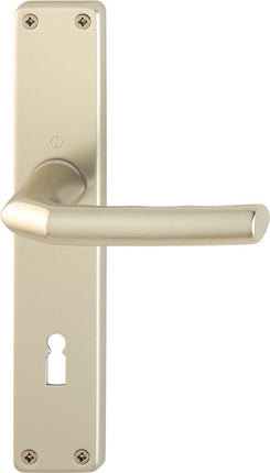 HOPPE set di piastre lunghe Birmingham 1117/202SP alluminio F2 ( 3000252988 )