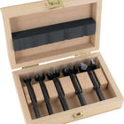 FAMAG Forstnerbohrersatz Bormax 1622 5 teilig ( 4000863751 )