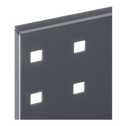 RASTERPLAN perforated panel W450xL500mm ( 9000428174 )