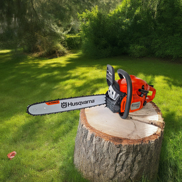 <h2>Chainsaws</h2>